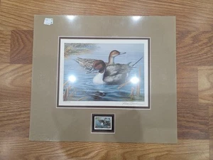 Impresión de estampillas ilimitadas BPT4 Russ Duerksen 1991 Dakota del Sur aves acuáticas S/N - Imagen 1 de 1