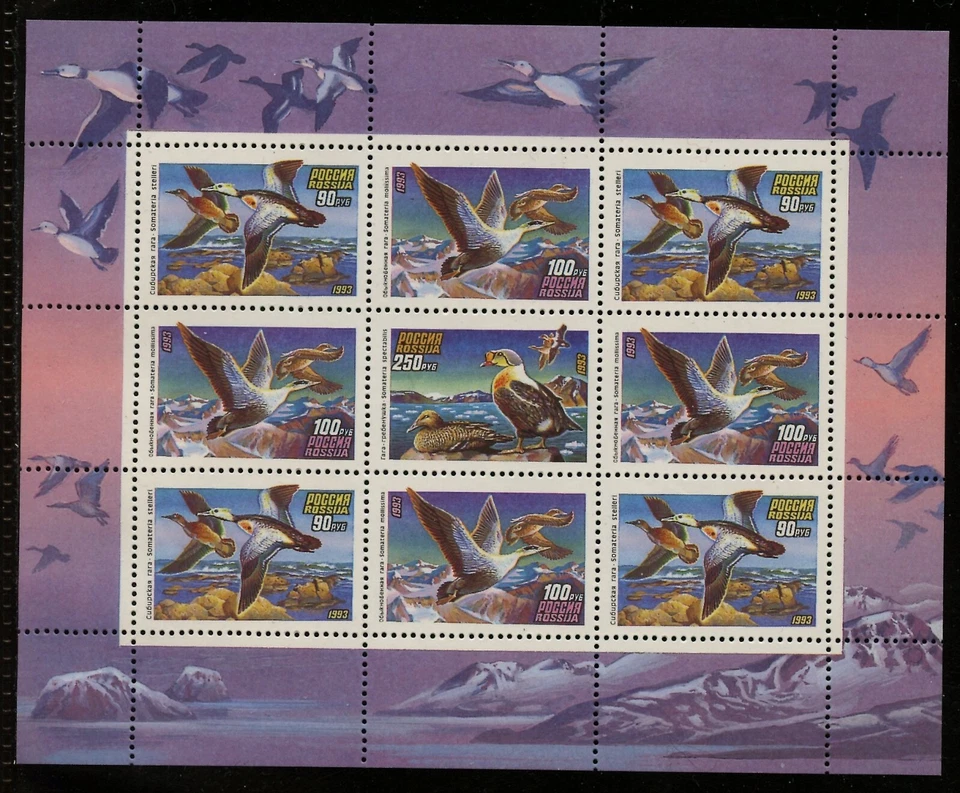 RUSSIA 6157a (6155-57), 1993 DUCKS, SHEET OF 9, MNH (RU346K) - Image 1 of 1