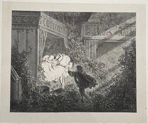 GUSTAVE DORÉ, FAIRY TALES BY PERRAULT Wood Engraving, 1862 - SLEEPING BEAUTY (6) - Imagen 1 de 6