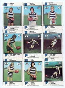 1974 Scanlens FULL Team Set - GEELONG - 11 Cards - Picture 1 of 4