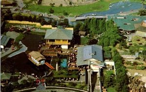 Cartolina d'epoca SeaWorld Sea World San Diego CA villaggio giapponese aereo - Foto 1 di 3