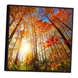 Black Framed Large Canvas Prints Wall Art Modern Nature Landscape 24L" x 24W" - Picture 1 of 7