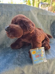 WEBKINZ COCOA LAB RITIRATO HM138 NUOVO CON CODICE SIGILLATO CHOCOLATE LAB  - Foto 1 di 6