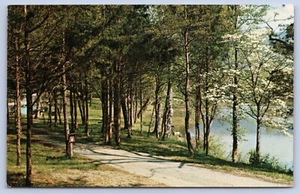 Postal Cove Lake State Park Caryville TENN. Tienda de campaña camping c1970 - Imagen 1 de 2