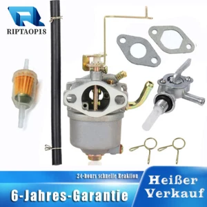 Vergaser mit Dichtung Benzinfilter Schlauch für Einhell STE 800 STE 8000/1 BEX/1 - Bild 1 von 6