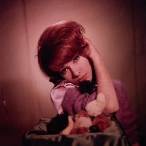 Tirage photo argentique Dany Saval 1960 30X30cm - Picture 1 of 1