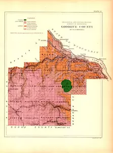 "GOODHUE COUNTY", MINNESOTA, NATURAL HISTORY SURVEY Antique geology map 1888 - Picture 1 of 1