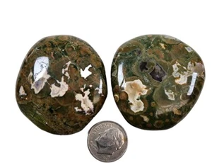 Rainforest Jasper Polished Smooth Stones Brazil 48.2 grams 2 Piece Lot - Picture 1 of 1