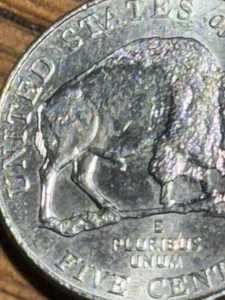 2005 P Rare Bison Nickel With Multiple Errors - Picture 1 of 8