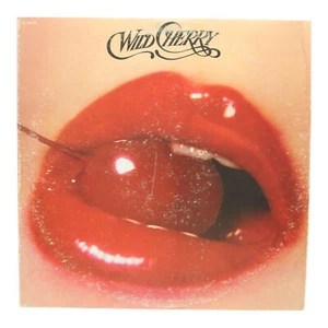 Wild Cherry Self-Titled LP Vinyl EX Funk Rock 1976 Epic PE 34195 Play That Funky - Picture 1 of 4