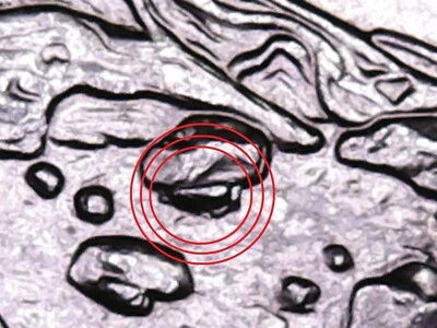 2013 P Nevada Great Basin ATB Quarter. Extra Stone by Bristlecone Pine Tree. - Image 1 of 4