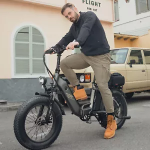 FAFREES 500W 20,8AH Klapprad Elektrofahrrad 20 Zoll e Bike Mountainbike Fatbike - Bild 1 von 11