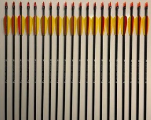 20 Glasfiberpfeile 26" + Sehnenwachs + Ersatzteile Fiberglaspfeile, Ek Archery - Bild 1 von 7