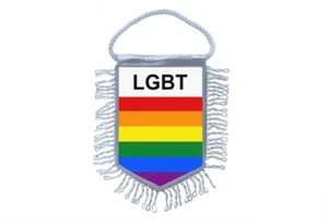 Mini banner flag pennant window mirror cars banner rainbow pride lgbt gay - Picture 1 of 1