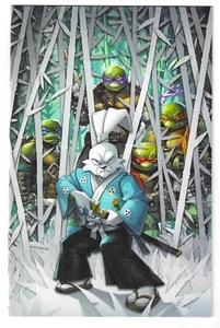 (LIMITED TO 800) TMNT / USAGI YOJIMBO WHEREWHEN #4 (ALAN QUAH VIRGIN VARIANT) - Picture 1 of 2