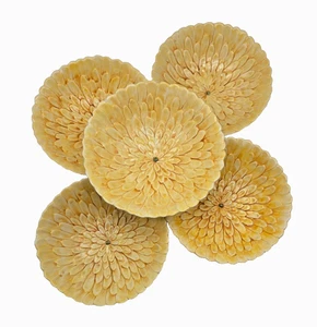 Tower & Poppy Atemberaubende gelbe 3D Blumenschalen Menge 5 SELTEN RARITÄT 8" D - Bild 1 von 6