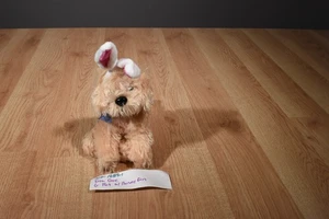 Peluche Dan Dee Golden Retriever 2010 con orejas de conejo (310-1689-1) - Imagen 1 de 5