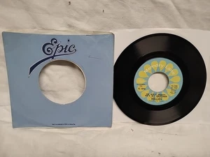 Hollies He Ain't Heavy, He's My Brother / Carrie Anne 45 RPM Epic 15-2306 - Bild 1 von 3