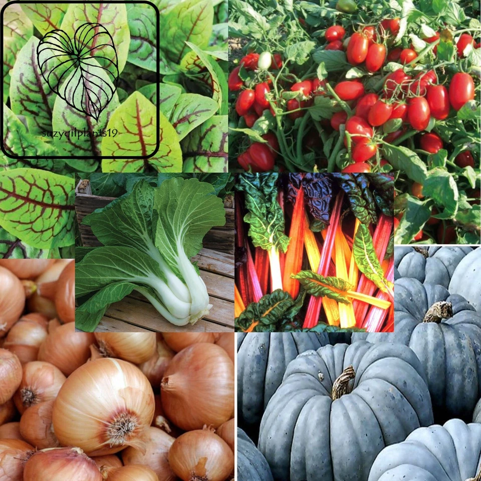 Clearance Sale. Vegetable Seeds. L - Z.  2 packets for $2. Combined Postage - image 1 of 1
