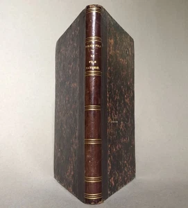 Alexandre Dumas fils — Le Fils naturel — édition originale — Charlieu — 1858. - Imagen 1 de 10