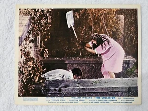 The Collector lobby card #2 - Terence Stamp, Samantha Eggar - 8 x 10 still - Picture 1 of 1