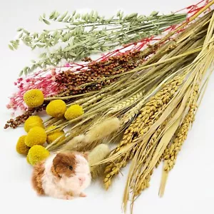 Edible Hamster Bedding Natural Flowers & Herbs for Small Pets & Cage Décor - Picture 1 of 5