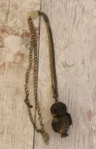 Urban Outfitters Owl Pendant Long Chain Locket Necklace - Picture 1 of 4