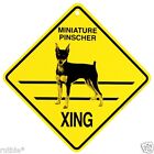 Miniature Pinscher Dog Crossing Xing Sign New