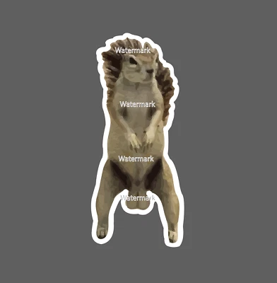 STICKER DYNASTY Squirrel Sticker Nuts Funny Waterproof Animal Nature Wildlife Gift NEW