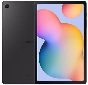 Samsung Galaxy Tab S6 Lite (2022) (Wifi) WIFI Only 64GB Oxford Gray Good - Picture 1 of 1