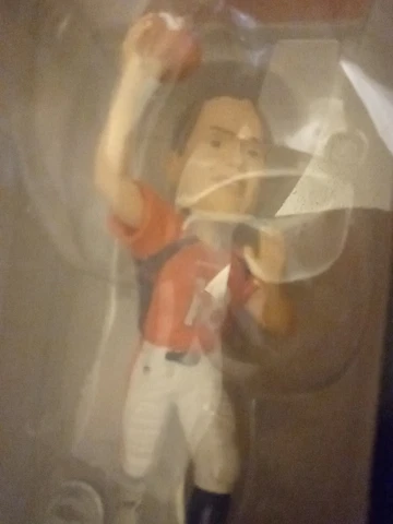 Peyton Manning Denver Broncos Bobblehead 2013 Forever Collectibles Limited Edt Cover