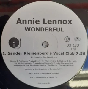 ANNIE LENNOX WONDERFUL DOUBLE PROMO 12" SINGLE VINYL RECORD J Records 2003 - Picture 1 of 4