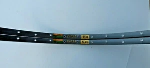 AMBROSIO MONTREAL DUREX GRAY TUBULAR RIMS - 36 H - NOS - Imagen 1 de 7