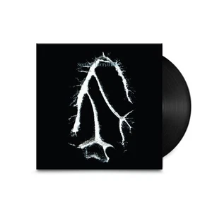 Seefeel Everything Squared (Vinyl) 12" Album - Picture 1 of 2