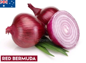 1000 Red Bermuda Seeds Onion Sweet Juicy Onions Vegetable Plant Australia - Picture 1 of 4