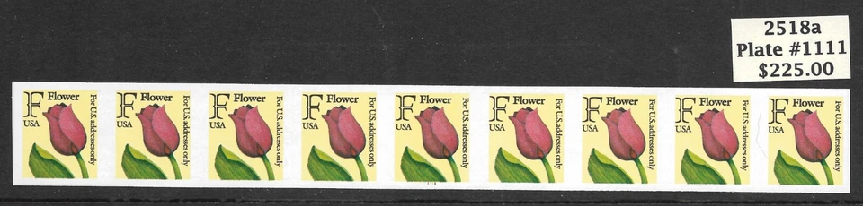 Scott #2518a "F" Flower IMPERFORATE ERROR PNC9, Plate #1111, MNH, Cat. $225.00 - Image 1 of 1