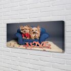 Tulup Canvas print 125x50 Wall Art Picture Yorkie