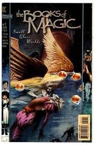 THE BOOKS OF MAGIC # 12 - DC 1995 (fn) - Bild 1 von 1