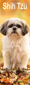 Shih Tzu Slim 2026 Kalender | Slimline Hunderasse Geschenk 15% RABATT MEHRFACHBESTELLUNGEN - Bild 1 von 8
