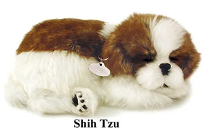 SHIH TZU- Il cucciolo che respira - PERFECT PETZZZ - Picture 1 of 2