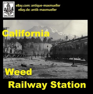 USA California Weed Mount Shasta Railway Station Scene orig photo 1910s/1920 - Picture 1 of 2