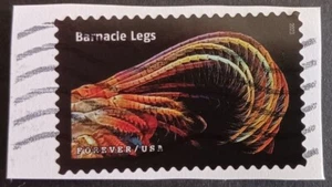 2023 US 5802r Barnacle Legs Life Magnified Sea Life Used On Paper - Picture 1 of 1