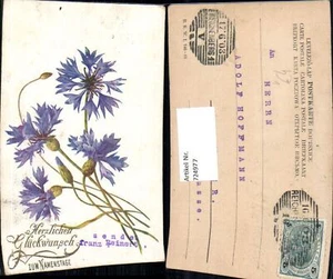 724977 aniversario flores acianos pub B.K.W.I. 745-11 - Imagen 1 de 1