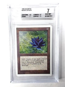 Black Lotus Unlimited Graded BGS7 NM 1993 Rare MtG - Bild 1 von 12