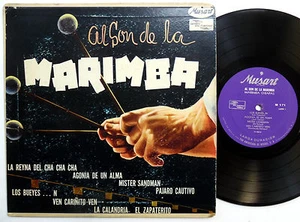 Marimba CHIAPAS 10" LP Al Son De La Marimba VG Latin AFRO-CUBAN Musart mg535 - Imagen 1 de 3
