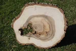 Baumscheibe Holzscheibe Epoxidharz Couchtisch Nussbaum Walnuss 62 x 54 x 5 cm 3 - Bild 1 von 4