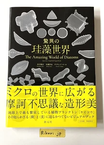The Amazing World of Diatoms English Japanese Bilingual Photo Book 2020 - Picture 1 of 15
