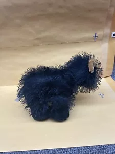 Webkinz Orso Nero Codice Online *Casa Senza Fumo* - Foto 1 di 3