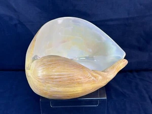 Large Ceramic Melon Shell planter, Seashell candle holder, candy dish - Picture 1 of 10