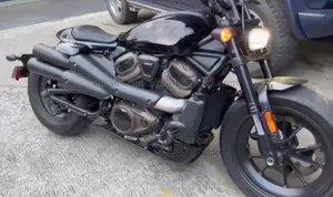 Custom Exhaust System For Harley Davidson SPORSTER S - Picture 1 of 4